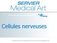 Cellules nerveuses PowerPoint PPT Presentation