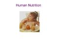 Human Nutrition PowerPoint PPT Presentation