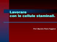 Prof. Maurizio Pietro Faggioni