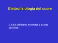 Elettrofisiologia del cuore PowerPoint PPT Presentation