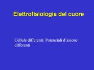 Elettrofisiologia del cuore