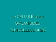 Aucun titre de diapositive