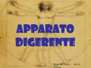 APPARATO DIGERENTE