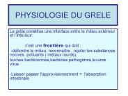 PHYSIOLOGIE DU GRELE