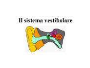 Diapositiva 1