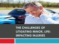 The Challenges of Litigating Minor, Life-Impacting Injuries PowerPoint PPT Presentation