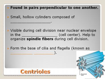 Centrioles
