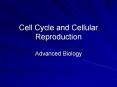 Cell Cycle and Cellular Reproduction PowerPoint PPT Presentation