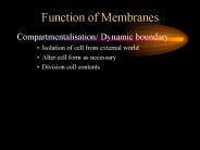Function of Membranes