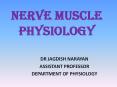 NERVE MUSCLE PHYSIOLOGY PowerPoint PPT Presentation