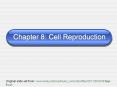 Chapter 8: Cell Reproduction PowerPoint PPT Presentation