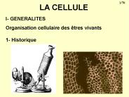 LA CELLULE