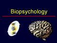Biopsychology PowerPoint PPT Presentation