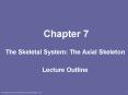 The Skeletal System: The Axial Skeleton PowerPoint PPT Presentation