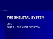 THE SKELETAL SYSTEM