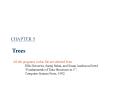 CHAPTER 5  Trees PowerPoint PPT Presentation