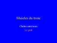 Muscles du tronc PowerPoint PPT Presentation