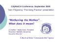 CityMatCH Conference, September 2005 Teen Pregnancy  PowerPoint PPT Presentation