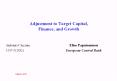 Adjustment to Target Capital, Finance, and Growth PowerPoint PPT Presentation