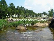Alluvial plant communities of Piedmont brownwater rivers