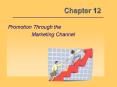 Promotion Through the PowerPoint PPT Presentation