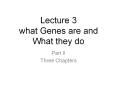 Lecture 3 what Genes are and What they do PowerPoint PPT Presentation