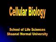 Cellular Biology PowerPoint PPT Presentation