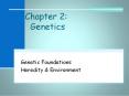 Chapter 2:  Genetics PowerPoint PPT Presentation