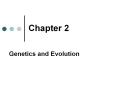 Genetics and Evolution PowerPoint PPT Presentation