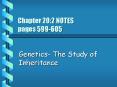 Chapter 20:2 NOTES pages 599-605 PowerPoint PPT Presentation