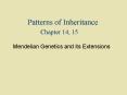 Patterns of Inheritance Chapter 14, 15 PowerPoint PPT Presentation