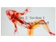 Chapter 1: Section 1 PowerPoint PPT Presentation