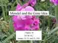 Mendel and the Gene Idea PowerPoint PPT Presentation