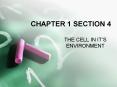 CHAPTER 1 SECTION 4 PowerPoint PPT Presentation