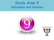 Study Area 9