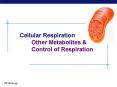Chapter  9.  Cellular Respiration  Other Metabolites PowerPoint PPT Presentation