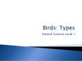 Birds: Types PowerPoint PPT Presentation
