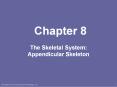 The Skeletal System: Appendicular Skeleton PowerPoint PPT Presentation