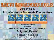 Introduction to Economic Fluctuations