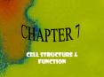 CHAPTER 7 CELL STRUCTURE PowerPoint PPT Presentation