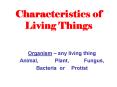 Characteristics of Living Things PowerPoint PPT Presentation
