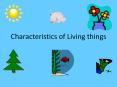 Characteristics of Living things PowerPoint PPT Presentation