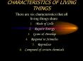 CHARACTERISTICS OF LIVING THINGS PowerPoint PPT Presentation