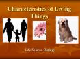 Characteristics of Living Things PowerPoint PPT Presentation