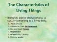 The Characteristics of Living Things PowerPoint PPT Presentation