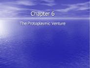 The Protoplasmic Venture
