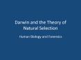Darwin and the Theory of Natural Selection PowerPoint PPT Presentation