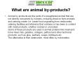 What are animal by-products? PowerPoint PPT Presentation