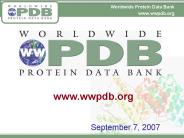 www.wwpdb.org