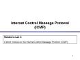 Internet Control Message Protocol (ICMP) PowerPoint PPT Presentation